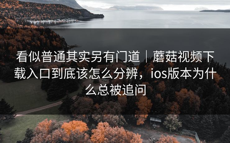 看似普通其实另有门道｜蘑菇视频下载入口到底该怎么分辨，ios版本为什么总被追问