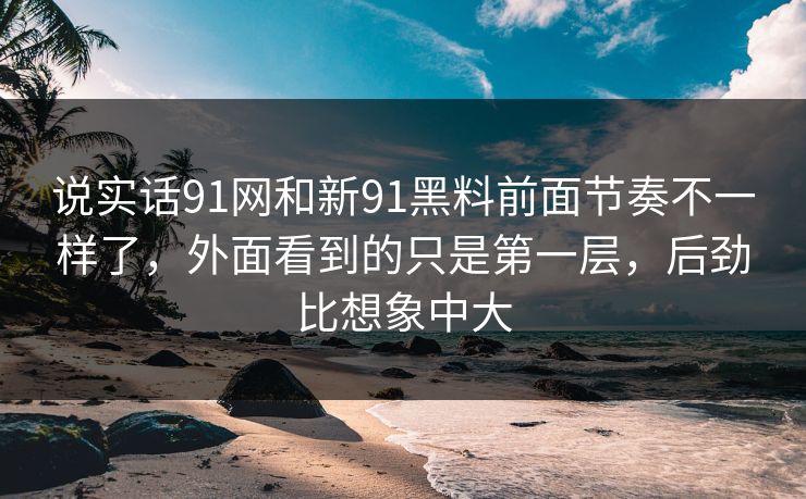 说实话91网和新91黑料前面节奏不一样了，外面看到的只是第一层，后劲比想象中大