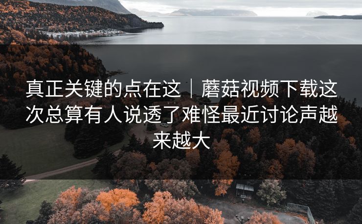 真正关键的点在这｜蘑菇视频下载这次总算有人说透了难怪最近讨论声越来越大