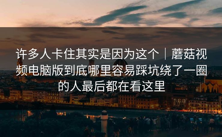 许多人卡住其实是因为这个｜蘑菇视频电脑版到底哪里容易踩坑绕了一圈的人最后都在看这里