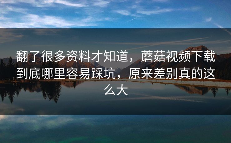 翻了很多资料才知道，蘑菇视频下载到底哪里容易踩坑，原来差别真的这么大
