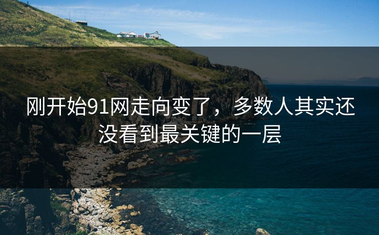刚开始91网走向变了，多数人其实还没看到最关键的一层