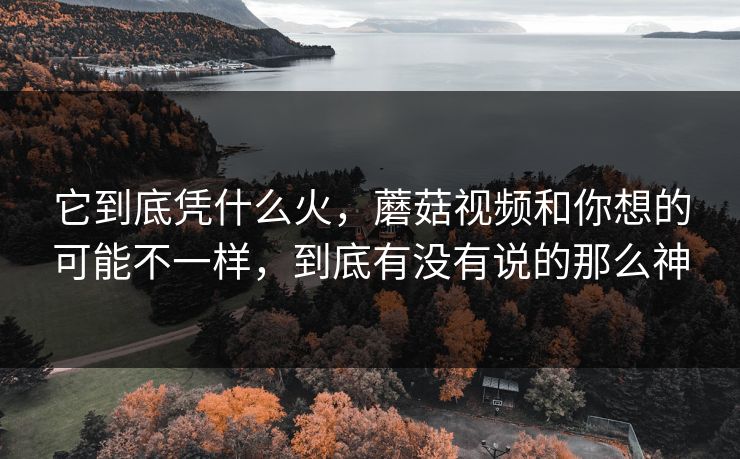 它到底凭什么火，蘑菇视频和你想的可能不一样，到底有没有说的那么神