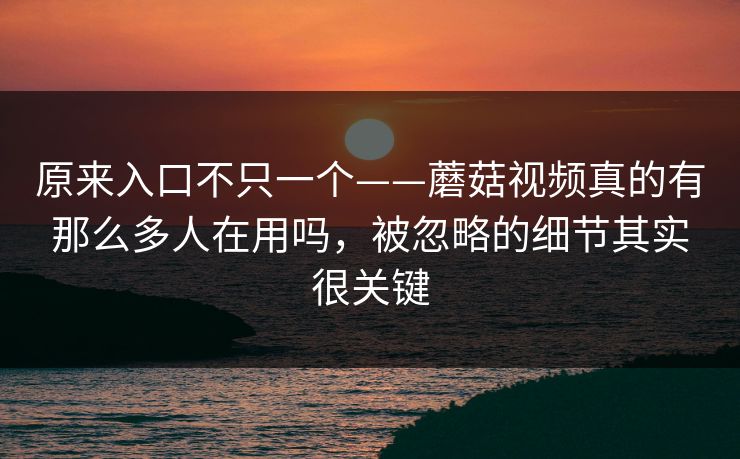原来入口不只一个——蘑菇视频真的有那么多人在用吗，被忽略的细节其实很关键