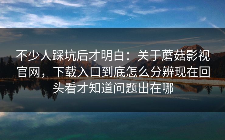 不少人踩坑后才明白：关于蘑菇影视官网，下载入口到底怎么分辨现在回头看才知道问题出在哪