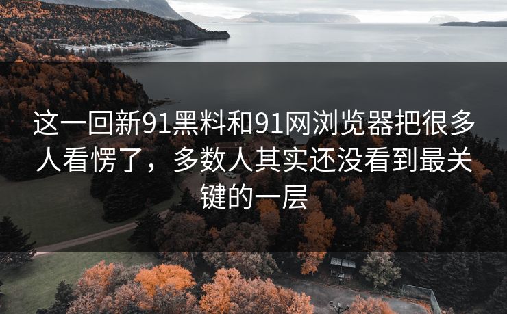 这一回新91黑料和91网浏览器把很多人看愣了，多数人其实还没看到最关键的一层