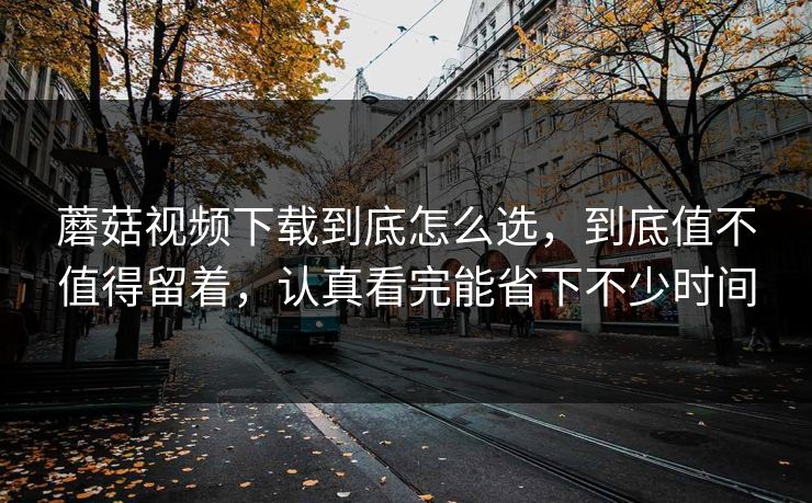 蘑菇视频下载到底怎么选，到底值不值得留着，认真看完能省下不少时间