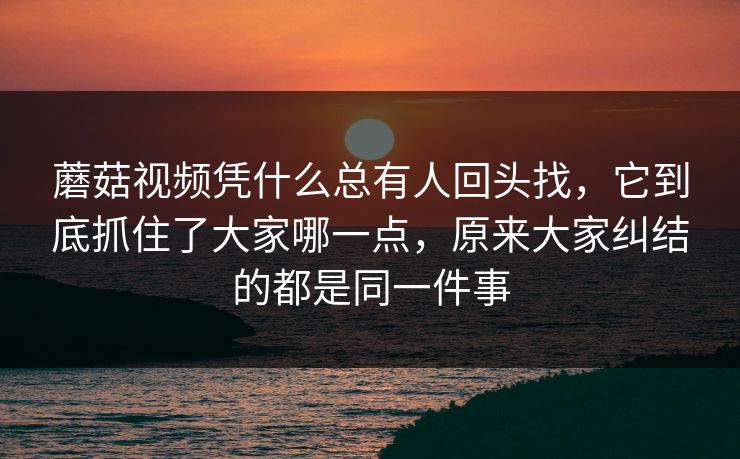 蘑菇视频凭什么总有人回头找，它到底抓住了大家哪一点，原来大家纠结的都是同一件事