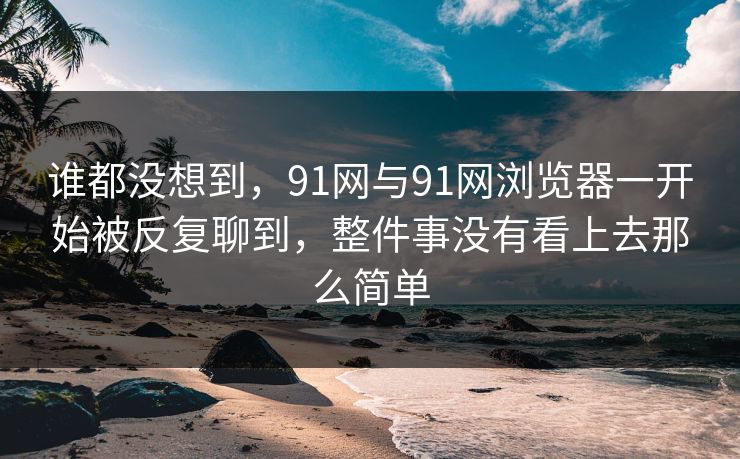 谁都没想到，91网与91网浏览器一开始被反复聊到，整件事没有看上去那么简单